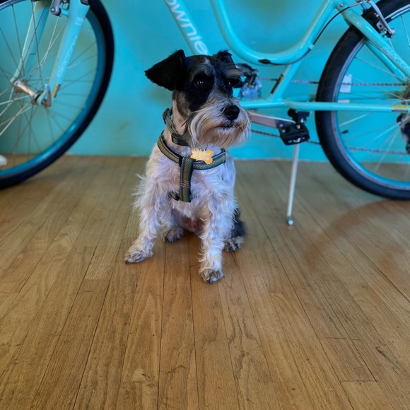 LA Loves You Kobe - Picture 9 of 12